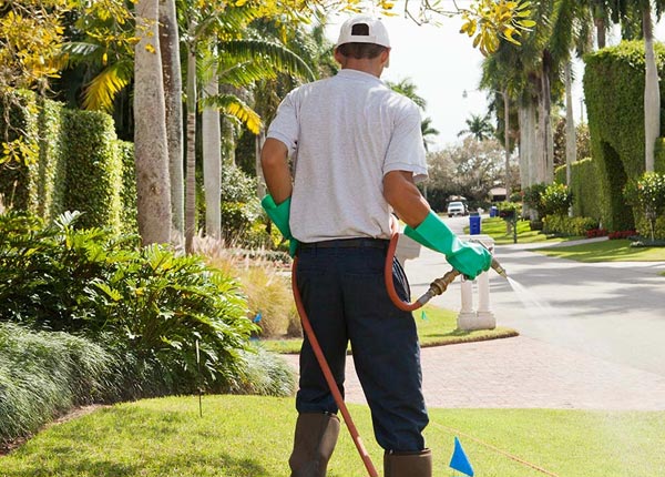 About Dearborn MI Pest Control Pros